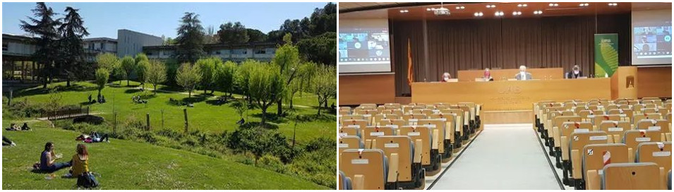 巴塞羅那大學